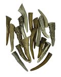 Deer Valley Antler Tips - Set of 10 Native American-Inspired Polished Points (3-5 inches Long) for Traditional Jewelry and Key Chains (Perfect for Home Décor and Indigenous Crafts)