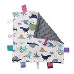 Baby Boy Tag Security Blanket - Inchant Grey Small Blanket with Colorful Tags for Newborns Toddlers