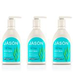 Jason Natural Products Aloe Vera Satin Shower Body Wash, 30 Ounce - 3 per case.