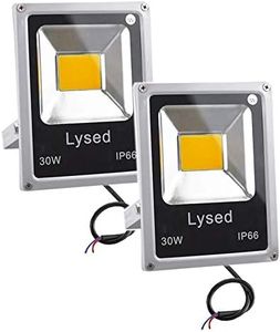 Lysed 12 Volt Flood Light Bowfishing Lights 30W Low Voltage Flood Lights Outdoor IP66 Waterproof (Warm Light 2Pack)