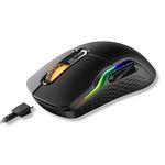 Rapoo Wireless Mouse For Macs