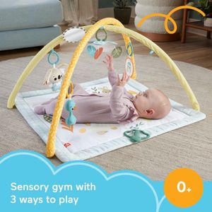 Fisher-Price Baby Playmat Gym – Soft Activity Mat for Infants