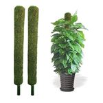 Velcro House Plants