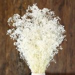 Uhky 17 inch Dried Baby's Breath Flowers Bouquet - 1500+ Pure White Dry Flowers, Real Natural Gypsophila Branches for Wedding, DIY Home Party Table Decor, Wreath Floral (White)