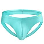 ZONBAILON Mens T Back Thong Underwear Sexy Pack Silk Briefs Seamless Backless Elephant Underpants Green