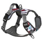 Embark Urban Dog Harness, No Pull Dog Harness with 2 Leash Clips, Dog Harness for Medium Dogs anti pull dog harness Front & Back with Control Handle, Adjustable, Soft & Padded |Puppy Harness|