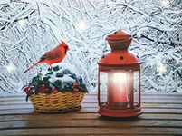 Cardinal On Basket & Lantern Winter Lighted Canvas Print - LED Wall Art Christmas Decoration - Measures 15.75" X 11.75"