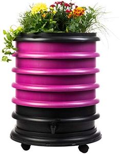 WORMbox | 