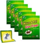 Mouse Trap Pest Trap Rat Traps Rodents Snakes Cockroaches Spiders and Other pests(5 Packs)