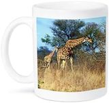 3dRose Cape Giraffe, Kruger Nationa