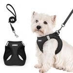 rabbitgoo Dog Harness Small Breed and Leash, Step in Soft Light Puppy Vest, Breathable Mesh No Pull Pet Harness, Reflective for Safe Easy Walking, Black S