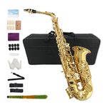 Yinfente Eb Flat Alto Saxophone Kit with 10 Reeds, 8 Pads, Hard Case, Gold Finish
