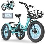 MOONCOOL Folding Electric Trike, 20