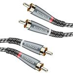 BlueRigger RCA Cable, 10FT (2RCA Male to 2RCA Stereo Audio Cable, Braided, Gold Plated, Subwoofer)- Compatible with Home Theater, Amplifier, Hi-Fi System, HDTV, Car Audio, Turntable, Receiver, Speaker
