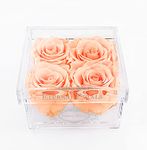 A 100% Real Roses That Last Years - Eternal Petals, Handmade in UK – Four Roses, White Gold Quartet (Delicious)