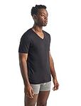 Icebreaker Merino Wool Underwear, Men's Short Sleeve V T-Shirt, Anatomica Slim Fit T-Shirt, Muscle Fit T-Shirt - Black/Monsoon, L