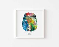 J. Sayuri Axial Human Brain Art - 8.5" x 8.5" - Wall Decor - Colorful Neurology, Neuroscience, and Psychology Gifts - Holiday and Christmas Gifts for Teachers - Wall Art Decor Signed