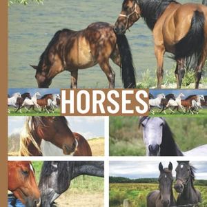 HORSES Toddler Books About Horses: Wordless Picture Books for Toddlers, Preschool, Homeschool, Adults