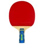 Butterfly BTY CS 2000 Table Tennis Racket - Chinese Penhold Ping Pong Paddle - ITTF Approved