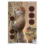 Birchwood Casey 2000388-SSI Pregame Squirrel 12x18 Target 8pk - multi, N/A