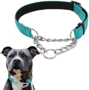 Martingale Dog Collar, Reflective Nylon Dog Training Collars Soft Padded No Pull Stainless Steel Chain Collar Adjustable for Small Medium Large Dogs Teal Large