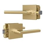 Mega Handles Privacy I Lever Door H