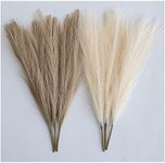 ChagoArt-Pampas Grass Decor Tall-Fa