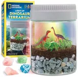 NATIONAL GEOGRAPHIC Dinosaur Terrarium Kit for Kids – Multicolor Light Up Terrarium Kit for Kids, Build a Dinosaur Habitat with Real Plants, Science Kit, Dinosaur Toys for Kids, Kids Science