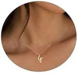 Rotnso Dainty Initial Necklaces for Women Girls, 14K Gold Plated Heart Letter Necklace Personalized Initial Pendant G Necklace Cute Custom Tiny Letter Name Necklaces Trendy Jewelry Christmas Gift G