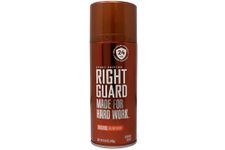 Right Guard Deodorant Aerosol Spray, Original, 8.5 Ounce