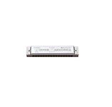 Suzuki W-24 c hole Tremolo harmonica,Silver,24