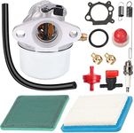 ZAMDOE 799868 Carburetor for Briggs