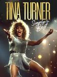 Tina Turner: Simply The Best