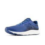 New Balance Men's 520 V8 Running Shoe