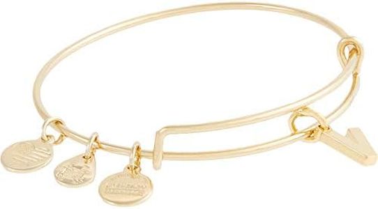 Alex and Ani Initial V III Bangle Bracelet Shiny Gold One Size (A20EBINT22SG)