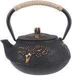 Cast Iron Teapot, Black Iron Kettle