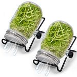 MORDEN MS Seed Sprouting Jar,Broccoli Sprouts Growing Kit with Screen Lids Wide Mouth Mason Jars,Microgreens Growing Kit for Growing Broccoli, Alfalfa, Mung Bean, Seed Germination Kit 2 Pack