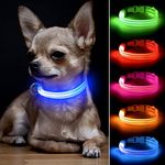 BSEEN Light Up Puppy Collar - Rechargeable LED Dog Collar - Glowing Cat Collars - Reflective Lighted Dog Collar for Small Dogs& Cats (Blue, XS)