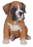 Vivid Arts Pet Pals - Boxer Puppy