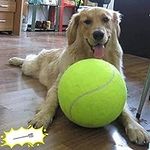 Banfeng Giant 9.5" Dog Tennis Ball 