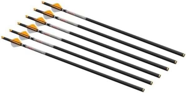 Ravin .001 R500 Series 20" Crossbow Bolts 6-Pack - 400 Grain Premium Carbon Bolts with .001" Straightness - Brass Inserts - R500 Series Only