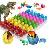 Toy That Hatches Out Of An Egg