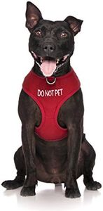Dexil Limited DO NOT PET Red Color Coded Non-Pull Front and Back D Ring Padded and Waterproof Vest Dog Harness Prevents Accidents by Warning Others of Your Dog in Advance (L)