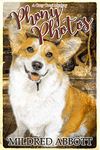 Phony Photos (Cozy Corgi Mysteries Book 16)