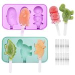 Fun Popsicle Molds