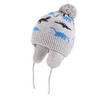 LANGZHEN Toddler Boys Knitted Winter Hat Fleece Lined Warm Cotton Beanie with Pompom(Grey-BlueDinosaur,L,2-4 Years)