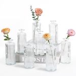 Anquephd Mini Bud Vases As Wedding Centerpieces for Tables,Clear Bud Vases for Flowers,Small Flower Vases Suitable for Birthday Party,Anniversary,Wedding Reception,Baby Shower (Clear, 8PCS)