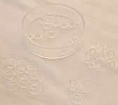 Cell Culture Cloning Ring, Glass Cl