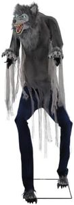Haunted Hill Farm 7-Ft. Tall Motion-Activated Towering Werewolf by SVI, Premium Halloween Animatronic, Plug-in (HHTWRWOLF-1FLSA)