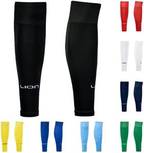 LION SPORT
